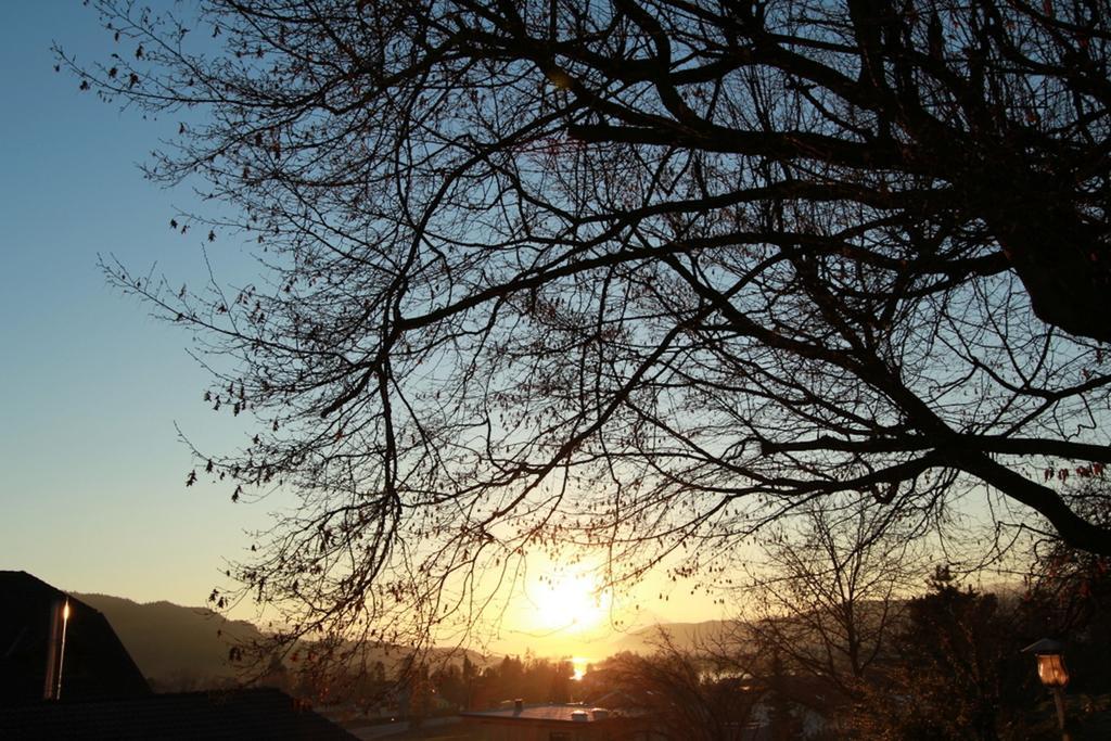 Ferienwohnungen Fiala-Koefer Pörtschach am Wörthersee Exteriér fotografie